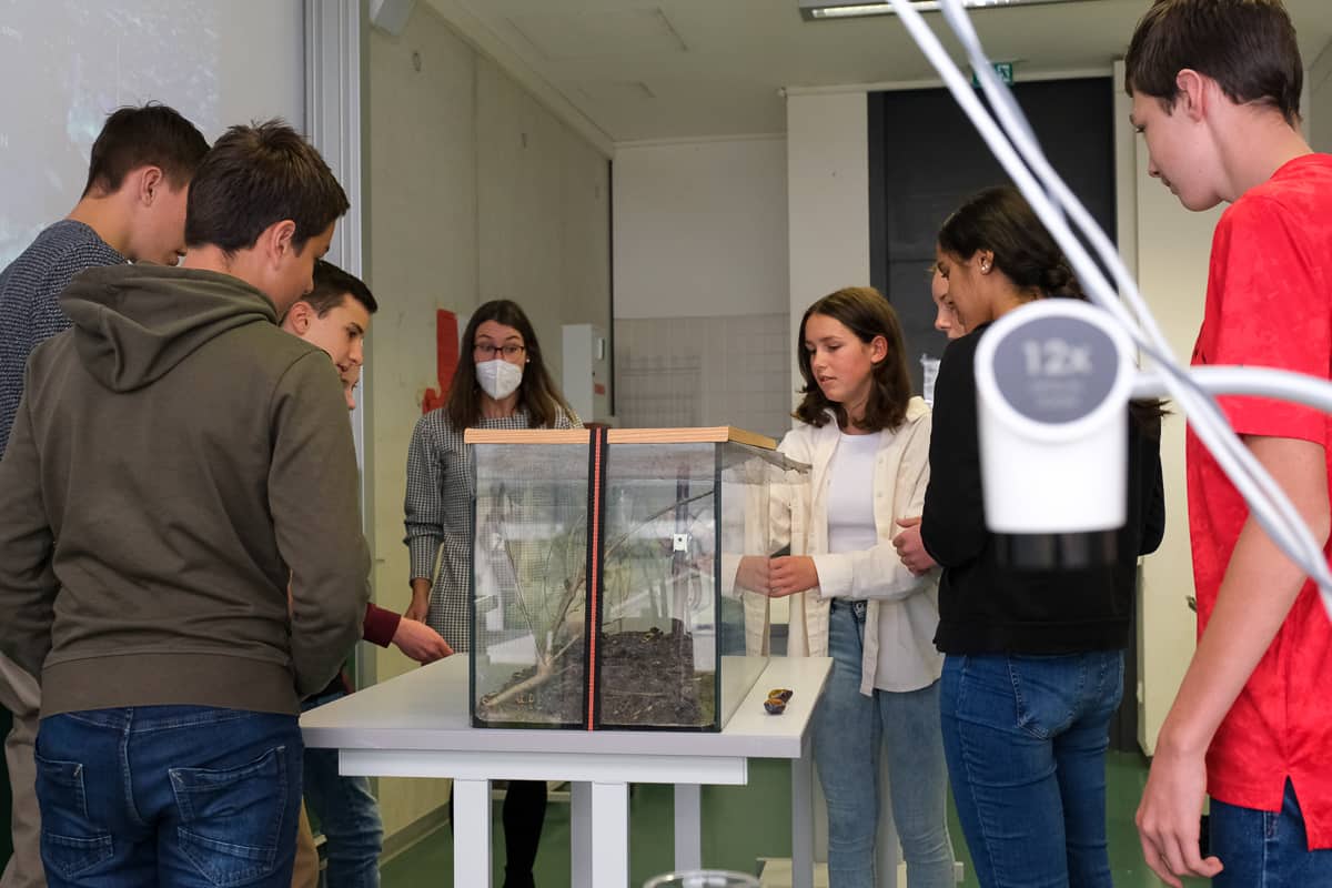 ASG-Laichingen-Biologie-Unterricht-12