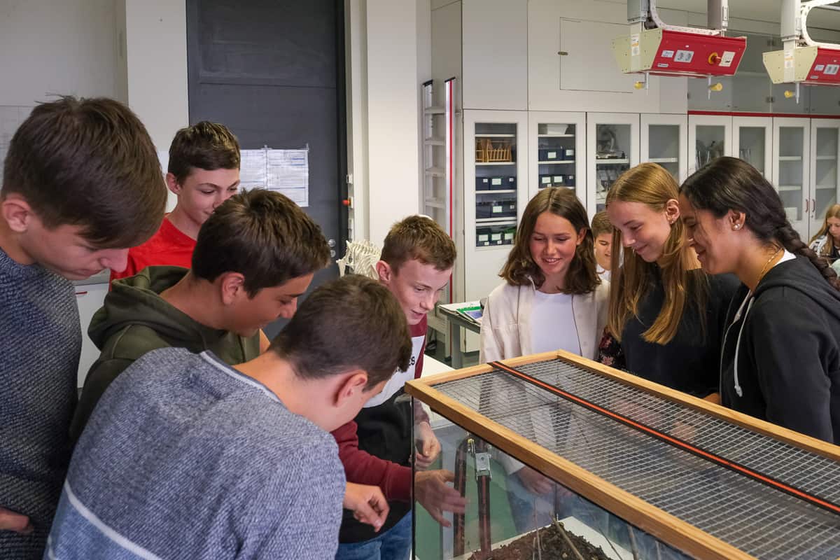 ASG-Laichingen-Biologie-Unterricht-14