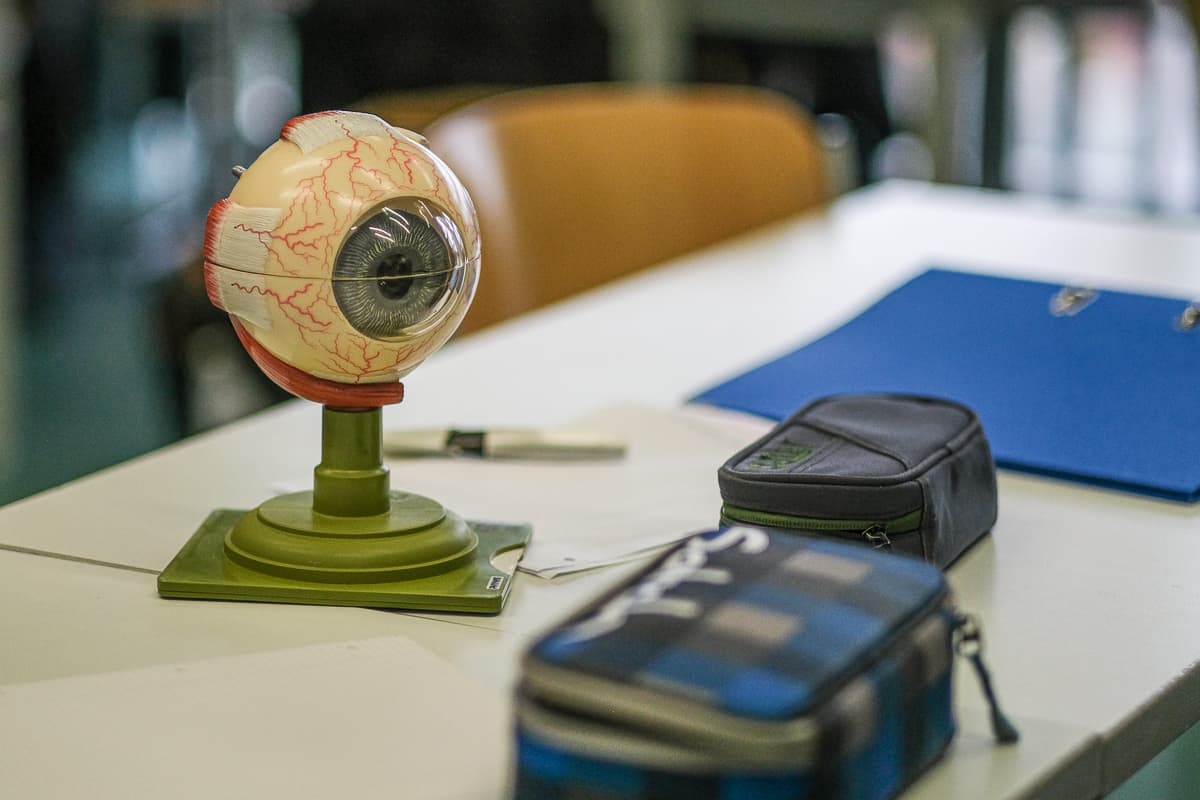 ASG-Laichingen-Biologie-Unterricht-20