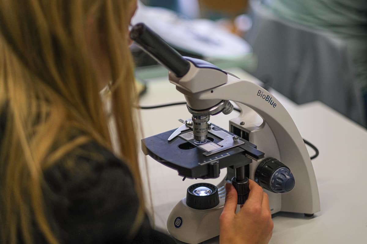 ASG-Laichingen-Biologie-Unterricht-22