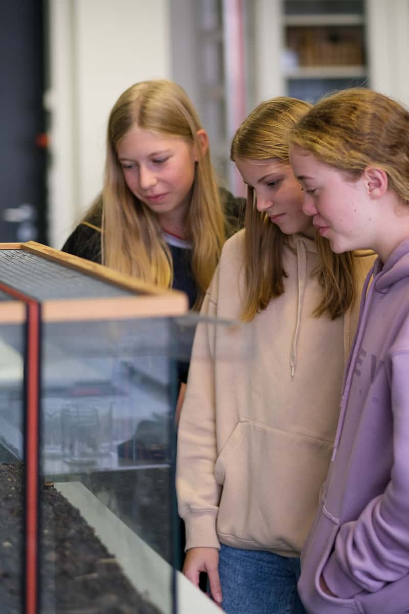 ASG-Laichingen-Biologie-Unterricht-26