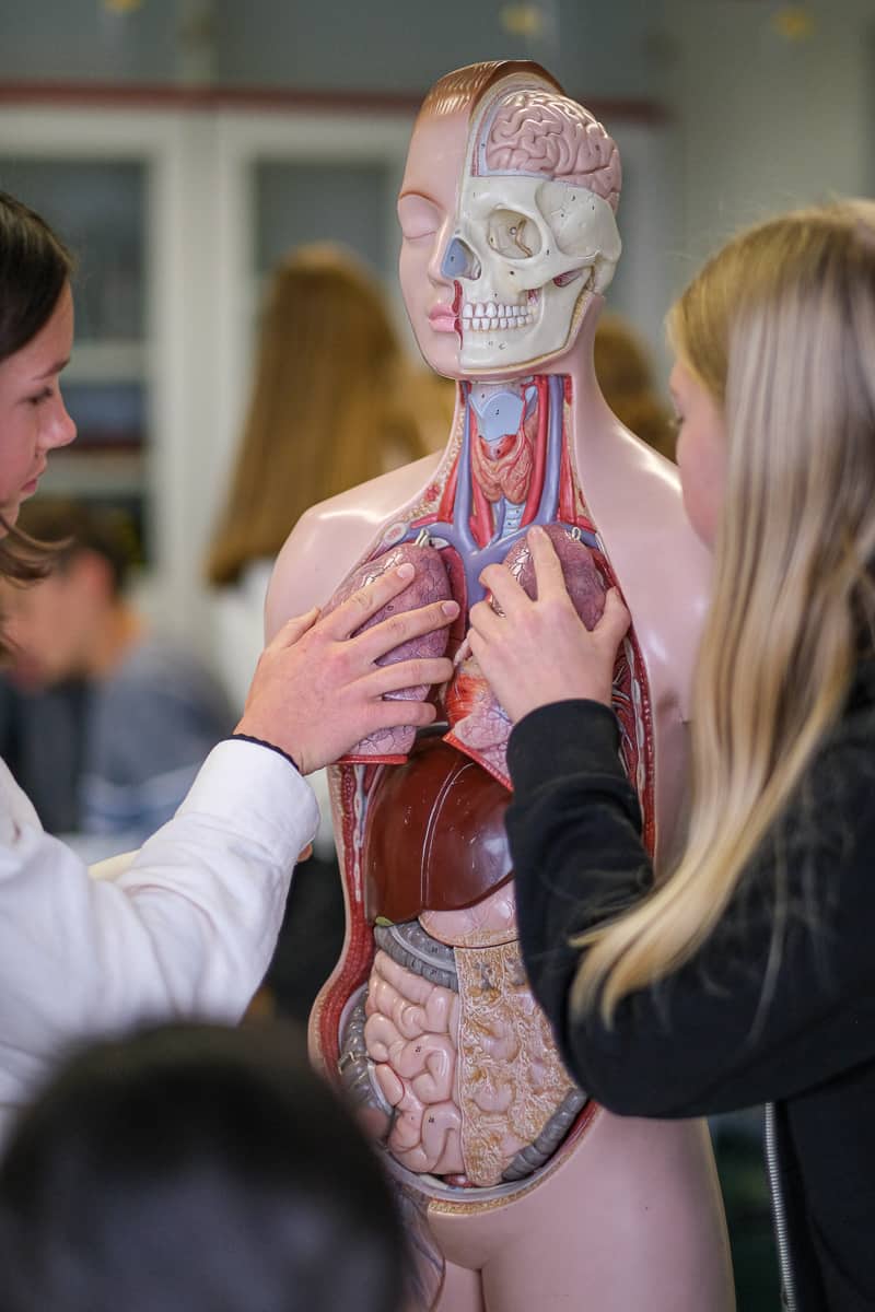 ASG-Laichingen-Biologie-Unterricht-29