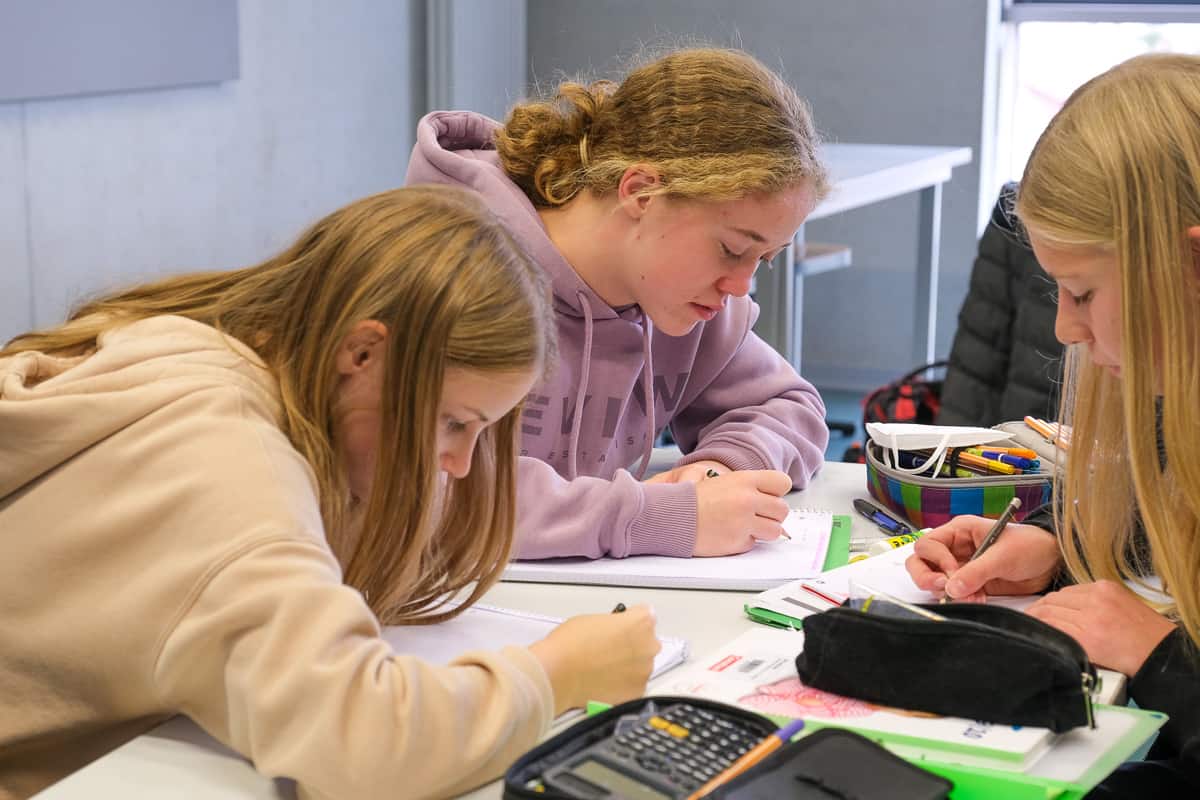 ASG-Laichingen-Biologie-Unterricht-31