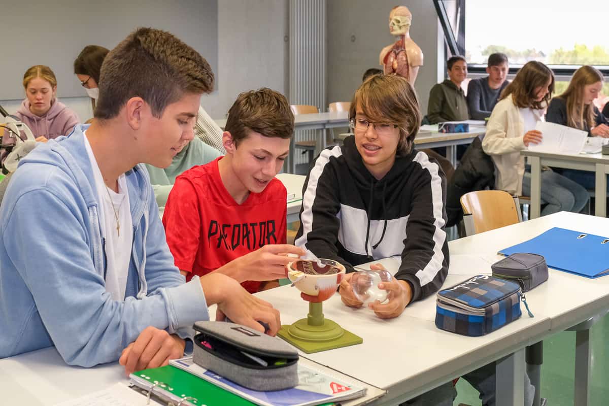 ASG-Laichingen-Biologie-Unterricht-4