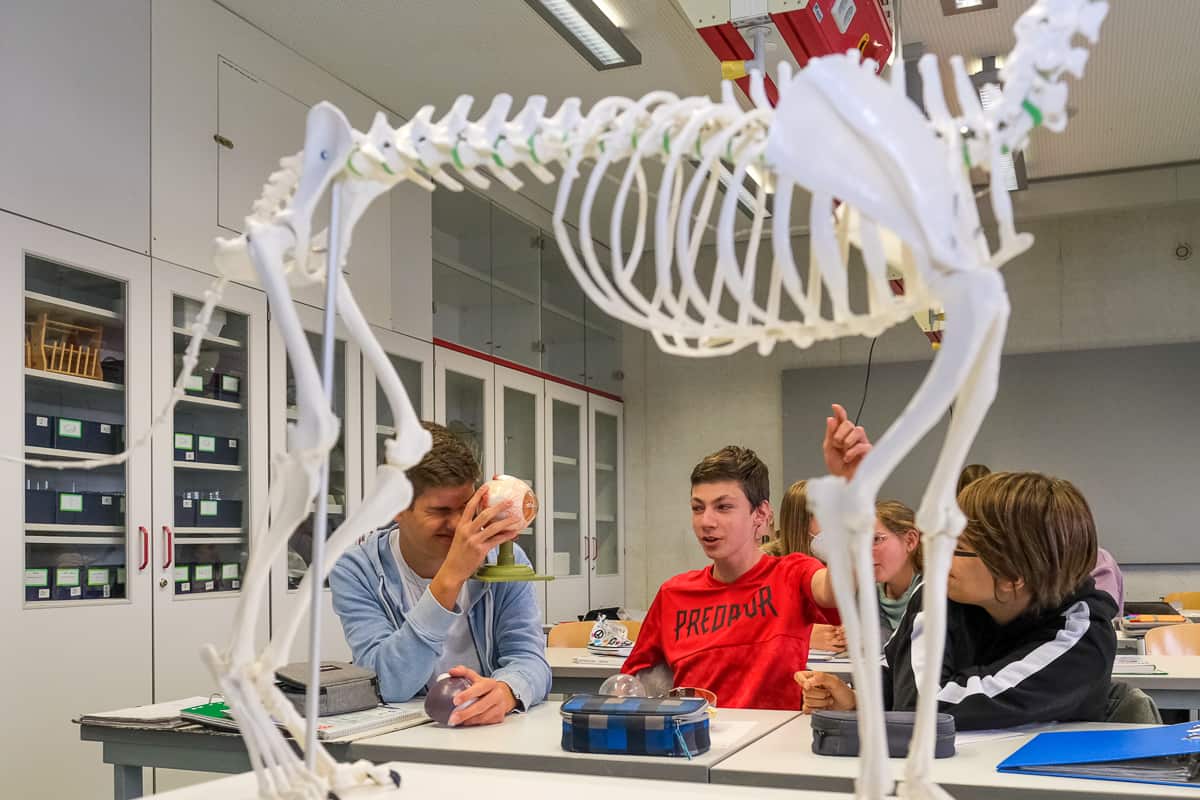 ASG-Laichingen-Biologie-Unterricht-6