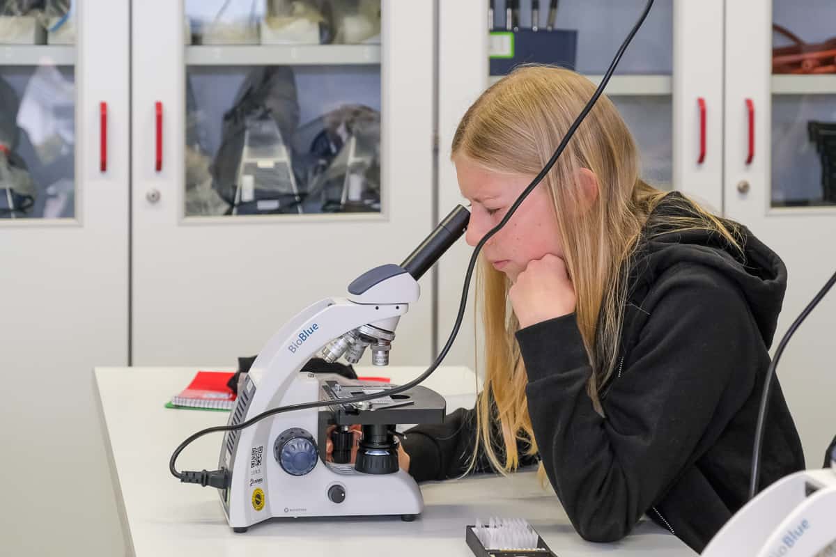 ASG-Laichingen-Biologie-Unterricht-9