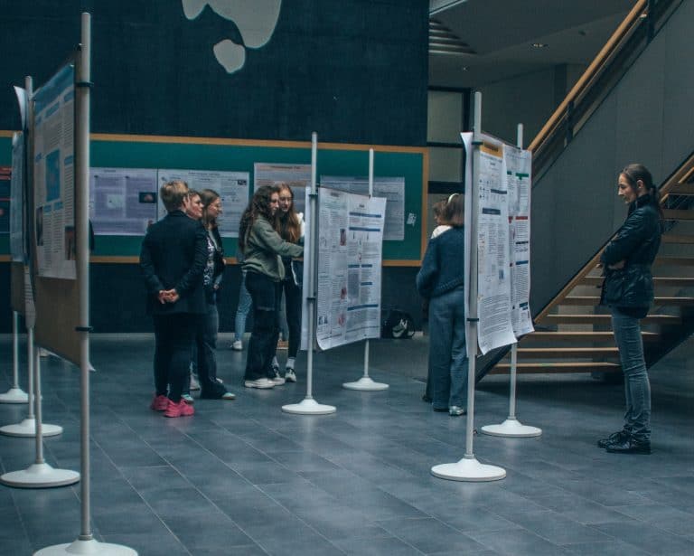 Menschen betrachten Ausstellung