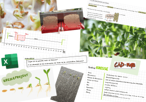 Kresse/Reaktionstest