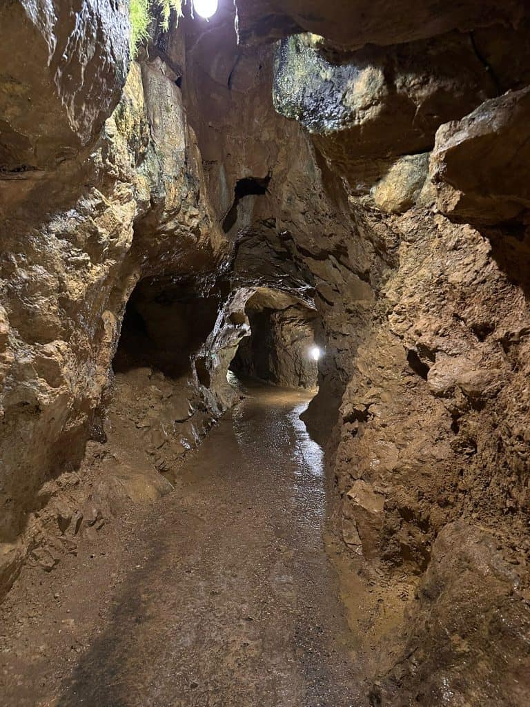 Der Geo-Leistungskurs der K1 auf Exkursion in Laichingen und Lenningen