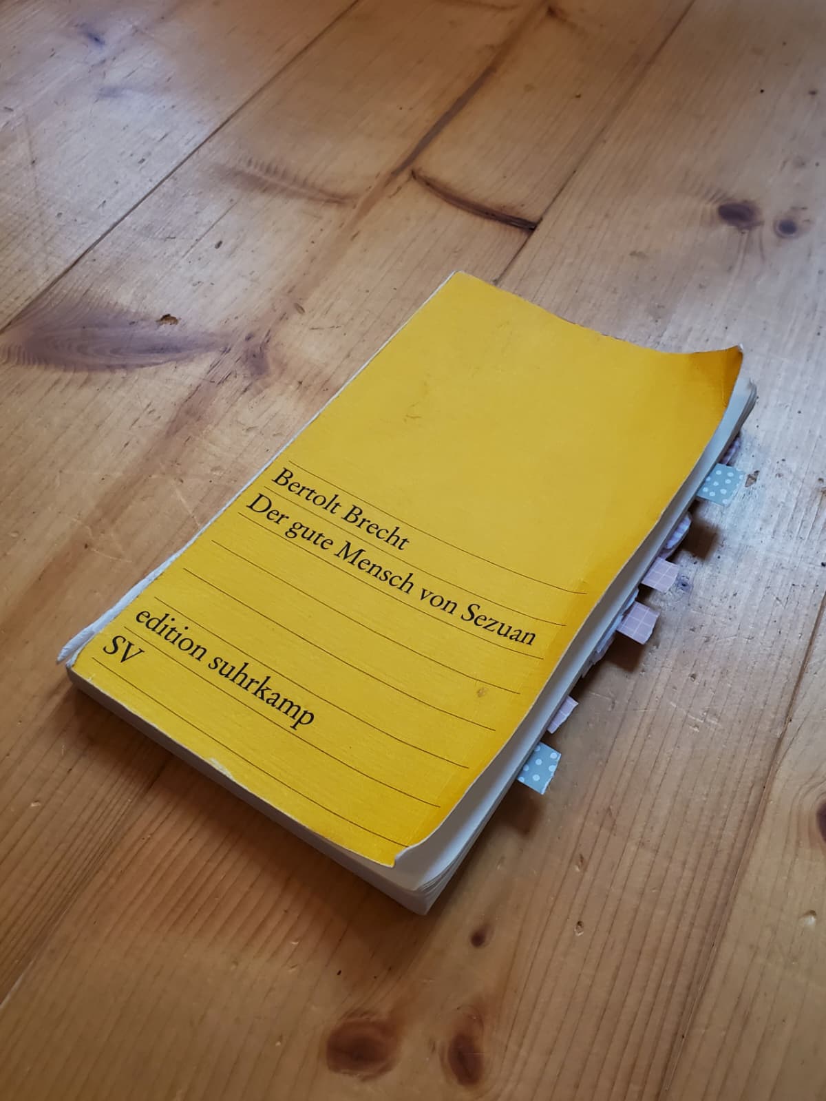 Lotta Blaukat (10a) bei der Science Academy