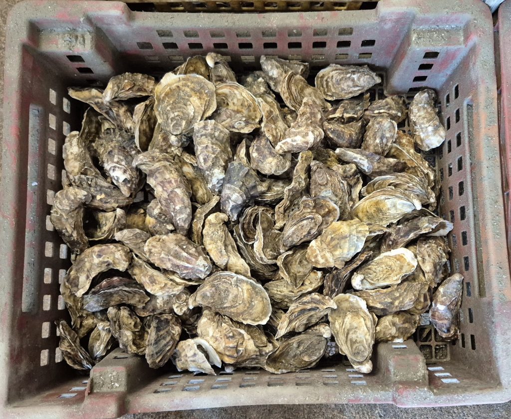 Impressionen des Frankreichaustauschs März 2026