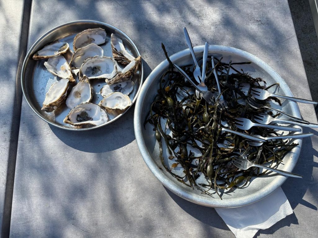 Impressionen des Frankreichaustauschs März 2026