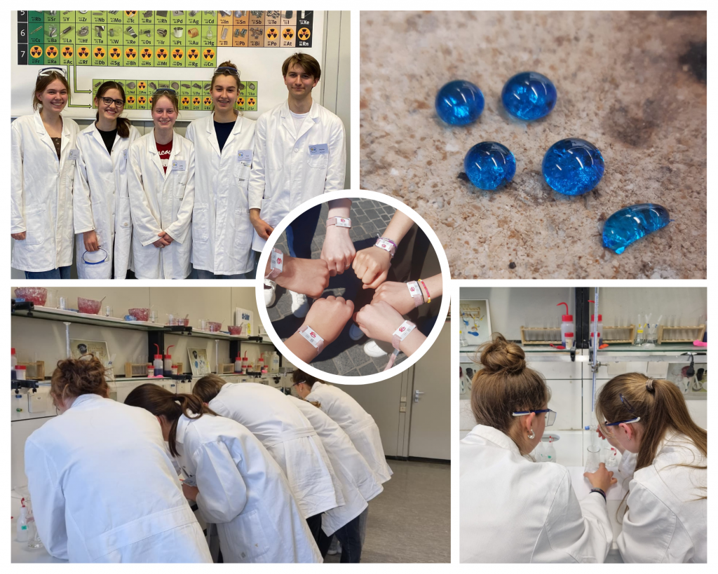 Eliteakademie Chemie und Materialwissenschaft 2025/26