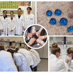Eliteakademie Chemie und Materialwissenschaft 2025/26